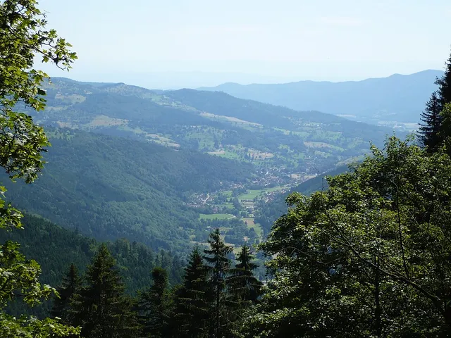 Elsass