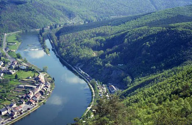 Maas