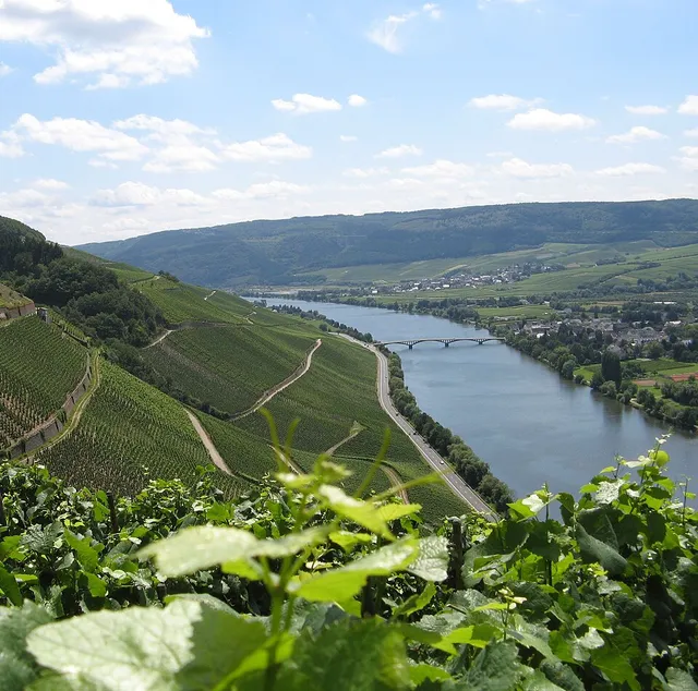 Mosel