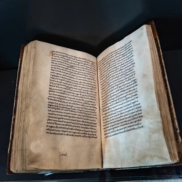 Gesta Friderici I. imperatoris (Taten Kaiser Friedrichs I.), Abschrift
