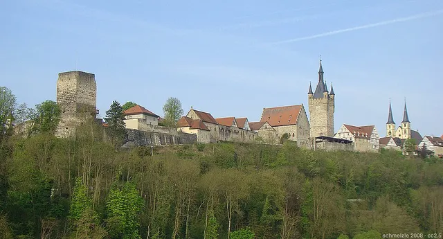 Pfalz Wimpfen
