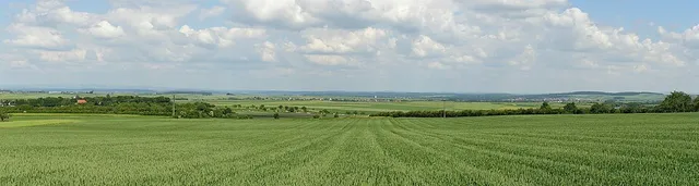 Wetterau